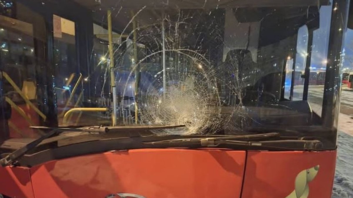 Deca ledenicama razbila autobus