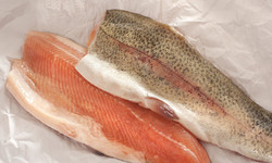 Ryby słodkowodne - rodzaje, właściwości odżywcze, toksyny, zdrowie