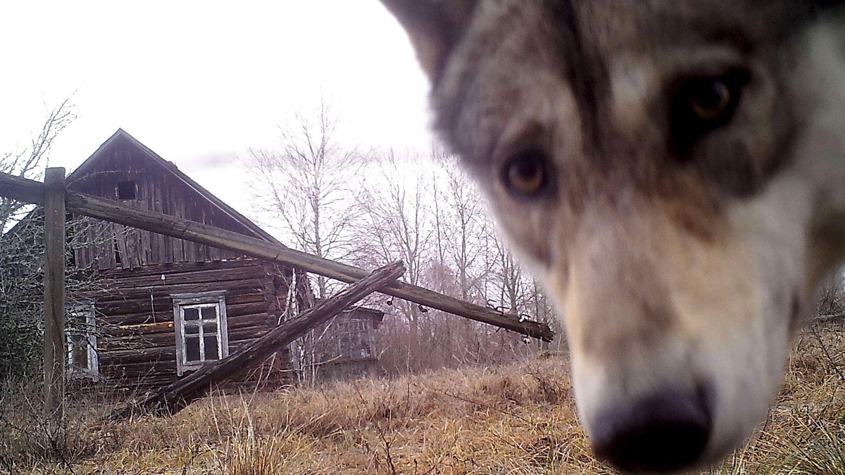 BBC | Foto: Vasily Fedosenko/Reuters
