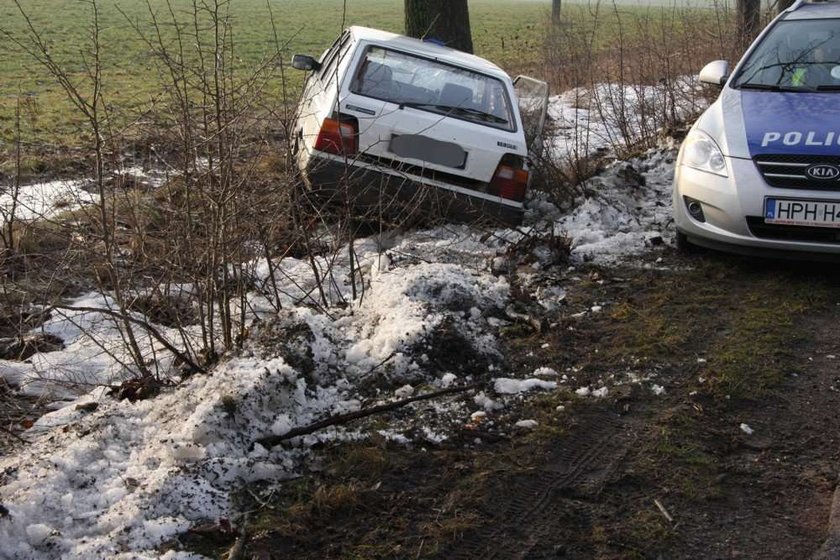 Polonez uderzył w drzewo