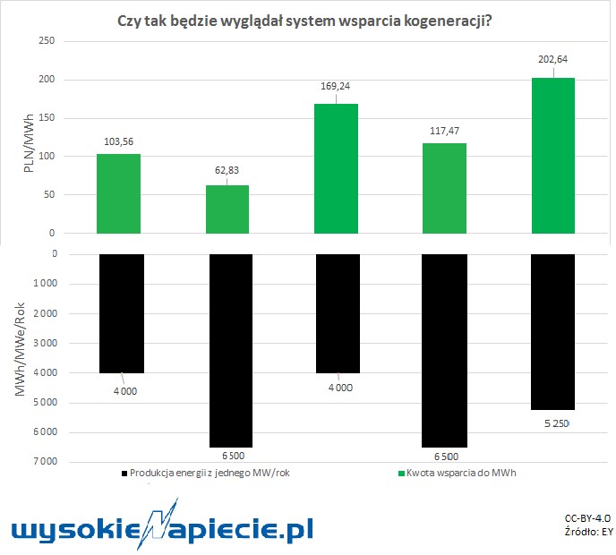 Konegeracja wsparcie EY (wysokienapięcie.pl)