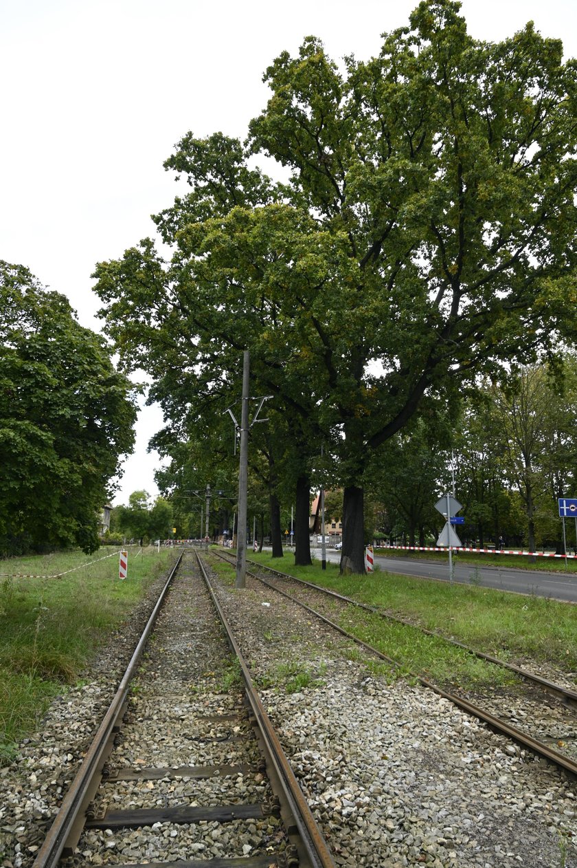 Remont na Biskupinie stanął przez Dęby