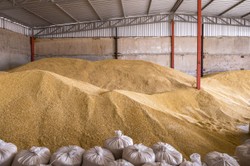 Rząd uchyla zakaz przywozu produktów rolnych z Ukrainy. ROZPORZĄDZENIE