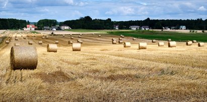 Prognoza na długi weekend nie każdego zadowoli. Wiemy, kiedy będzie najcieplej