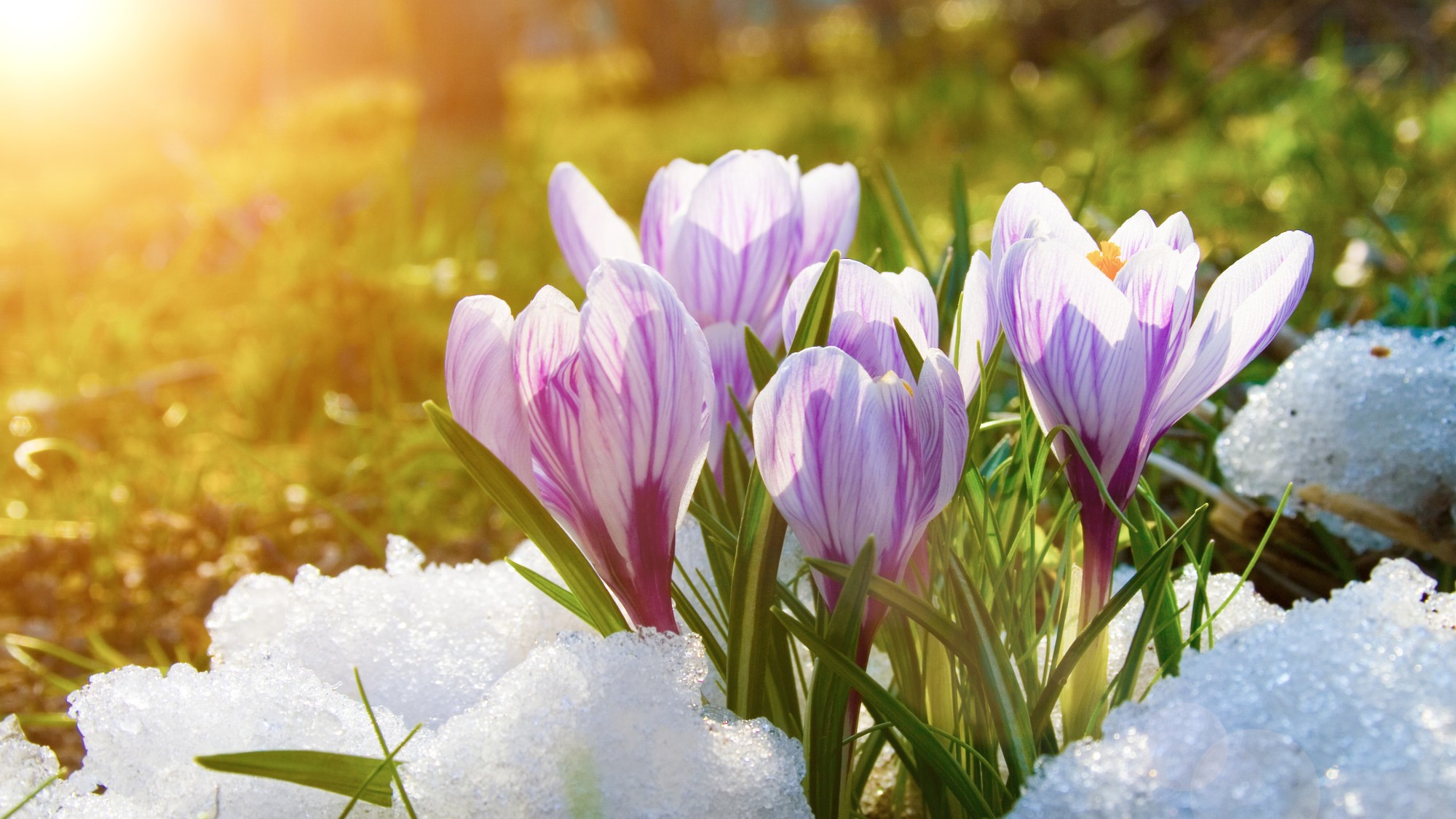 Meteorológovia upozorňujú na teplotné skoky v počasí (ilustračné foto).