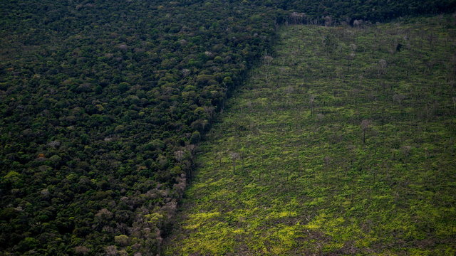 Rdzenne ludy ostrzegają: Amazonia umiera. Już niedługo nie będzie odwrotu