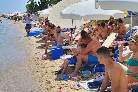 Panika u Grčkoj zbog "ribe-zec", a vidite šta je IZJEDALO OVE BEOGRAĐANE: "Supruzi krenula i krv!"; Evo šta ih posebno privlači