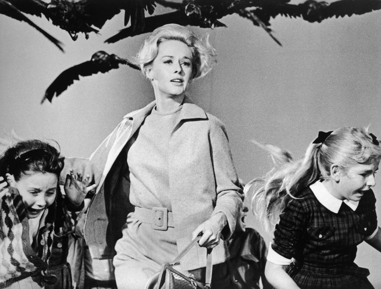 Tippi Hedren w filmie "Ptaki"