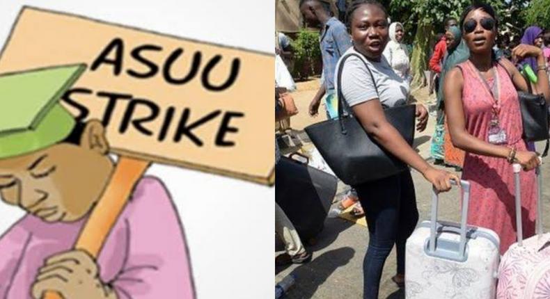 Strike: The demands of ASUU are genuine - Students to FG (InformationNG)