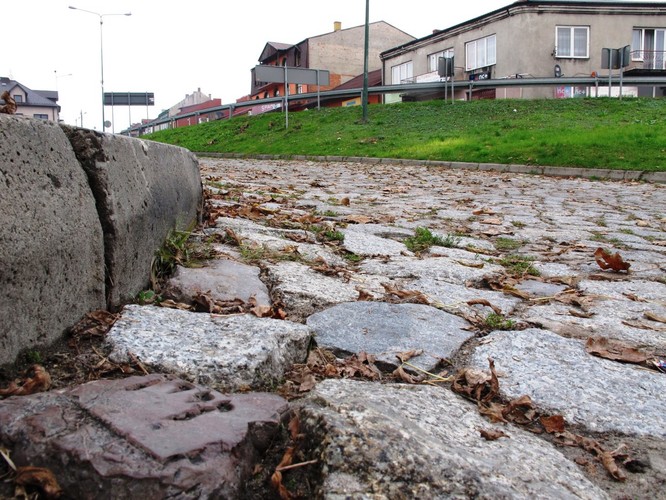 Fundacja 'From The Depths' prowadzi poszukiwania macew w całej Polsce