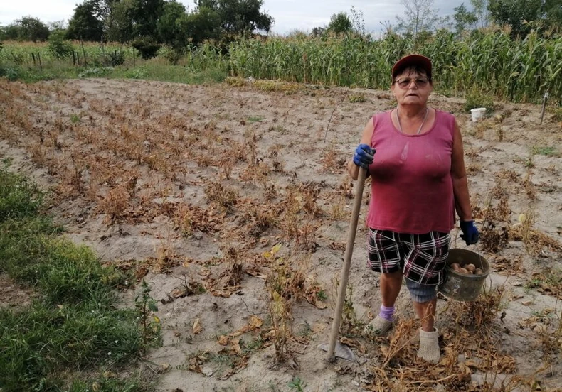klimatske promene poljoprivreda
