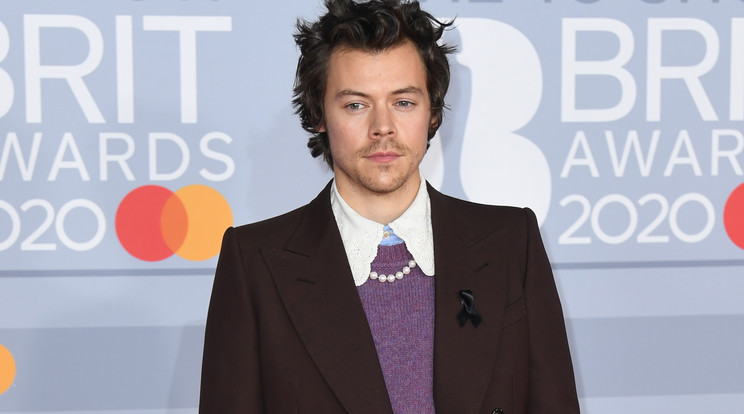 Harry Styles rengeteg negatív üzenetet kapott címlapfotója miatt Fotó: Northfoto