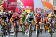 tour de pologne, kolarstwo, kolarz