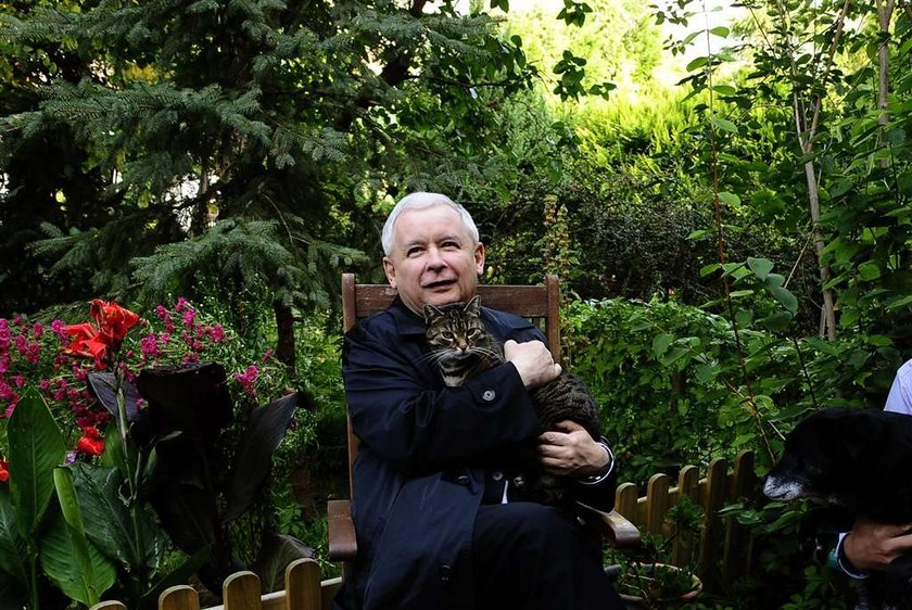 Kaczyński bawi się z kotem. Tęskni za Alikiem? FOTY