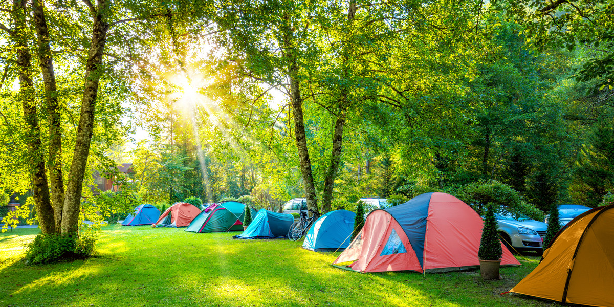 Studentom zostaje mieszkanie w namiotach