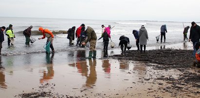 Jak i gdzie szukać bursztynów nad Bałtykiem, by na tym zarobić?