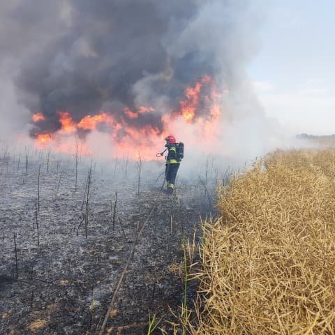 Ogień ogarnął już 100 hektarów pól