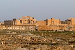 Palmyra