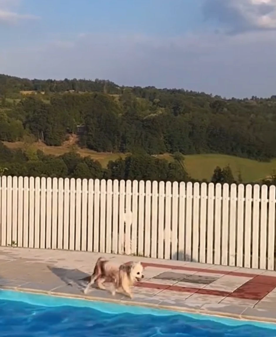 Luna Đogani, objava