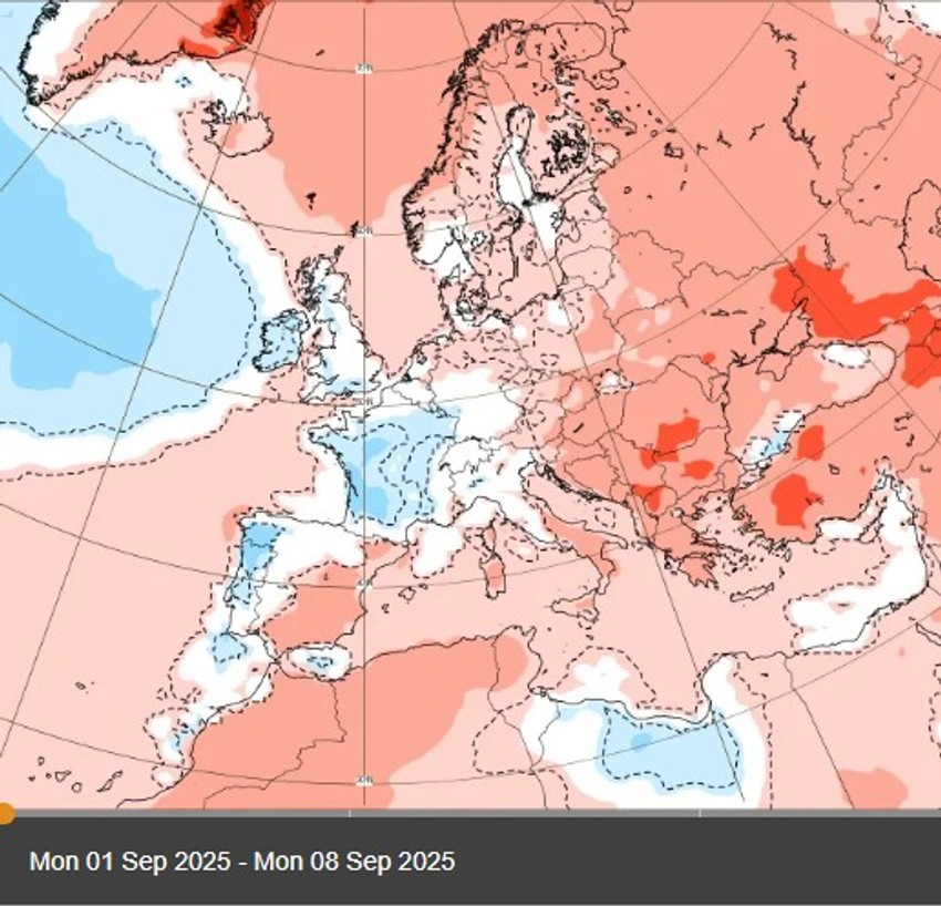 Prva nedelja septembra