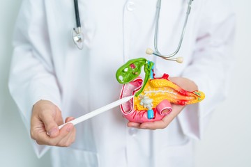 Ezért lehet életmentő a célzott hasnyálmirigyrák-szűrés!