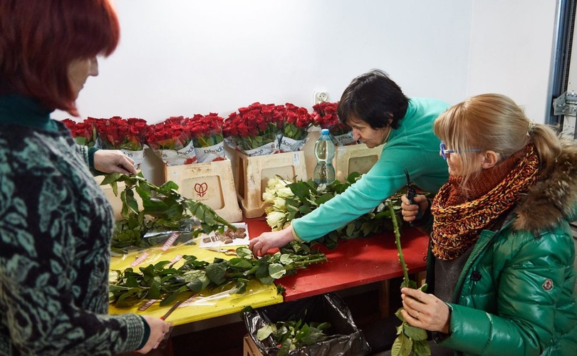 Róże wsparcia dla Lecha Wałęsy