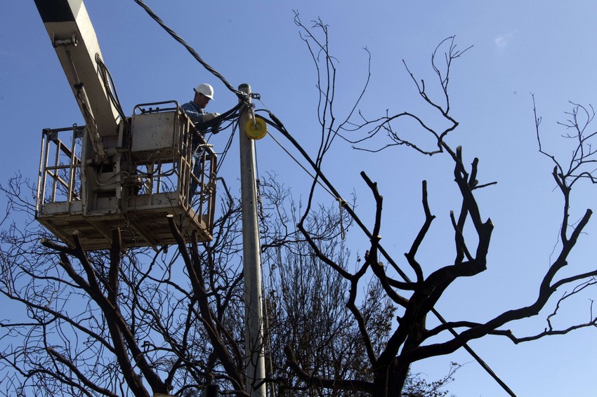 U požaru na planini Karmel poginule su 42 osobe i uništena su 74 objekta.