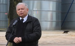 Kaczyński o Dniu Kota: Dzisiaj mamy nowe pokolenie kotów. Mają zupełnie inne wymagania i oczekiwania