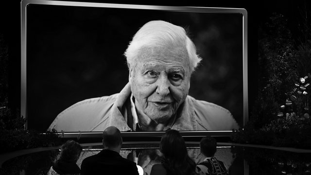 David Attenborough figyelmezteti az emberiséget: Közel vagyunk a ponthoz, ahonnan már nincs visszaút