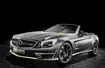 Mercedes-Benz SL 63 AMG „World Championship 2014 Collector's Edition”