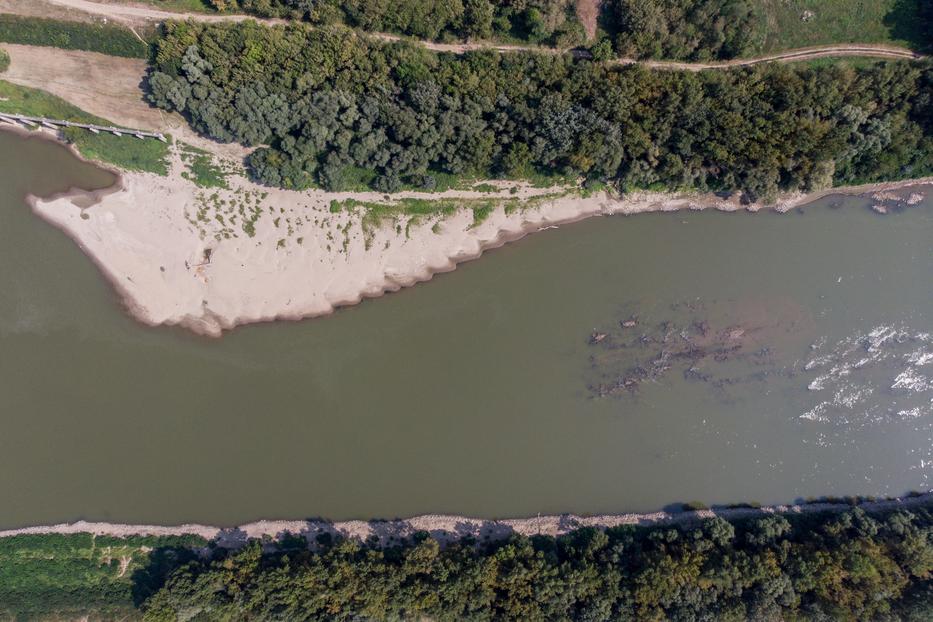 Alacsony a Tisza vízállása / Fotó: MTI/Czseglédi Zsolt