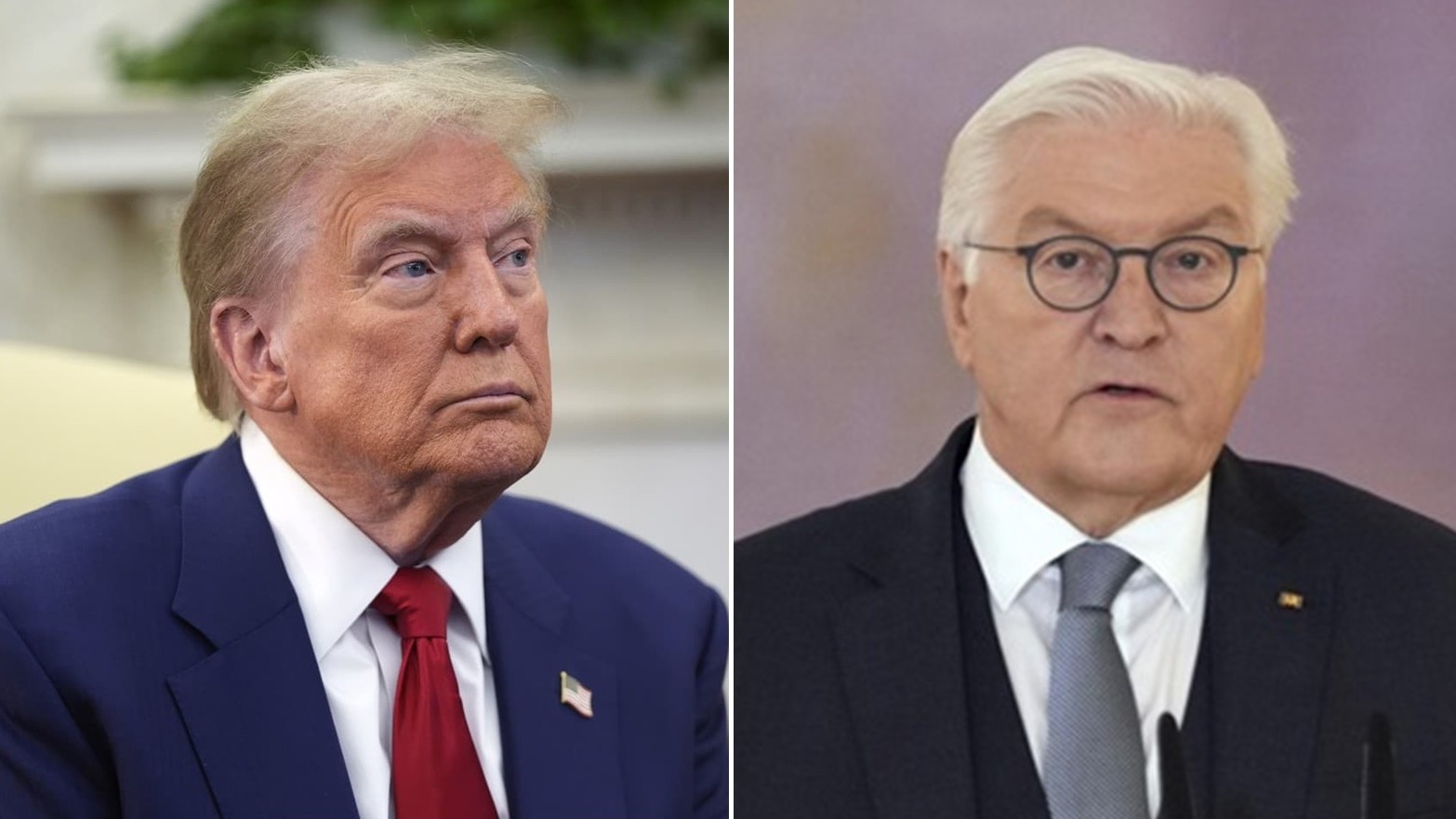 Donald Trump a Frank-Walter Steinmeier.