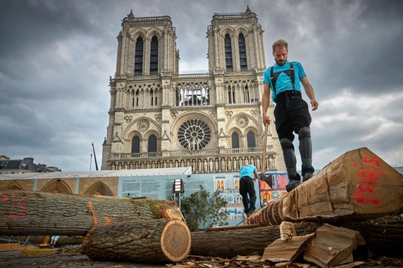 Odbudowa katedry Notre Dame w Paryżu: proces tworzenia drewnianej konstrukcji 