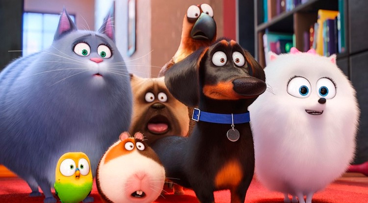 Secret life of pets