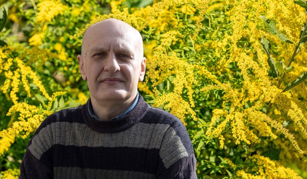 Ambrozija je najpoznatija i najopasnija alergena biljka na svetu, ali ima i lekovita svojstva