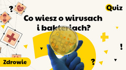 Co ty wiesz o wirusach i bakteriach? Już pierwsze pytanie może cię pokonać [QUIZ]