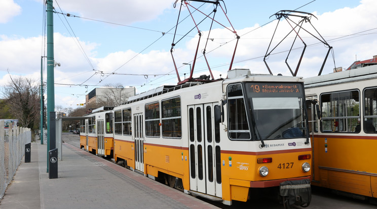 Faápolási és gallyazási munkák miatt hétfőtől április 6-áig napközben nem járnak a villamosok a Mester utca belső szakaszán a Haller utca és a Ferenc körút között / Fotó: Ringier-archív