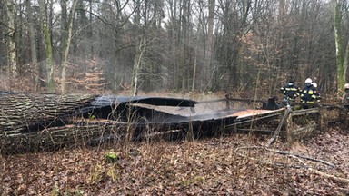 Spłonął "Dąb Rzeczypospolitej". Liczący około 500 lat pomnik przyrody prawdopodobnie został podpalony