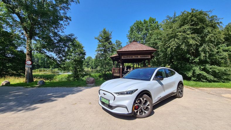 Ford Mustang Mach-E AWD 98 kWh