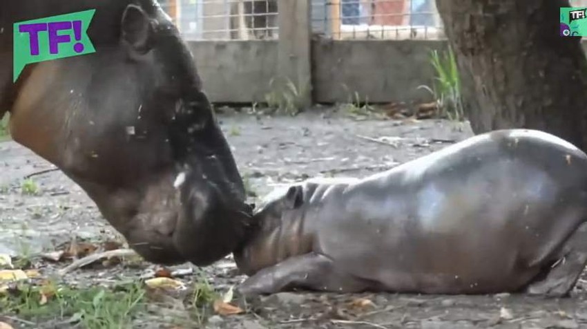 Malena Olivija sa mamom