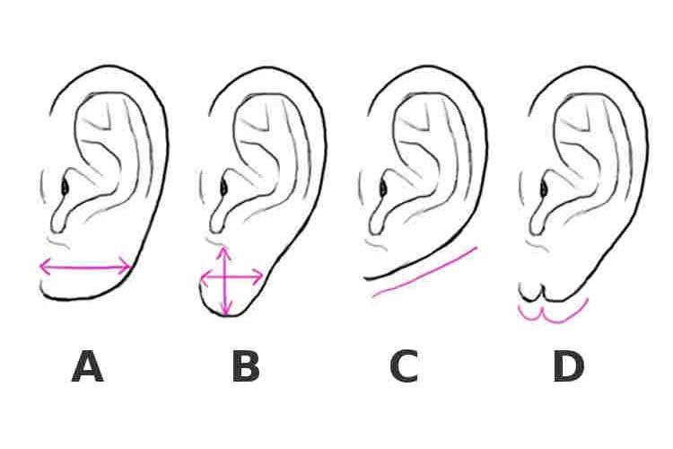 Co mówi o tobie kształt uszu