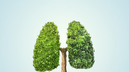Soja potencjalnym wrogiem raka płuca
