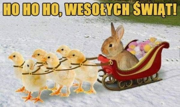 Memy o świętach wielkanocnych