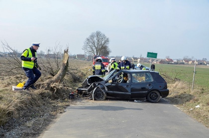 Pijak skosił drzewo