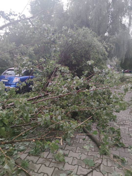 Nawałnica spustoszyła Osiedle Podwawelskie