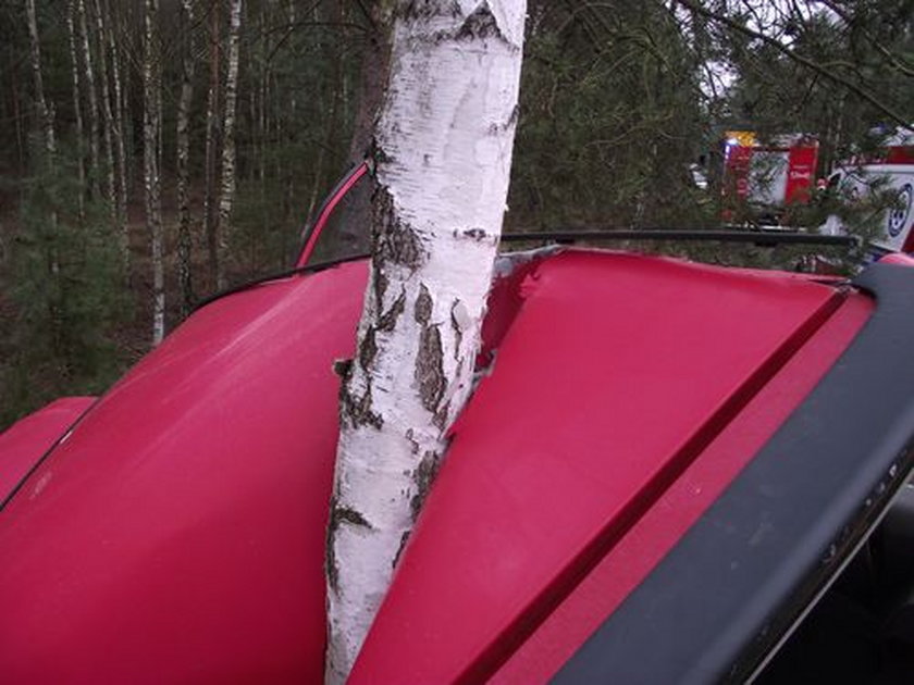 Auto owinęło się wokół drzewa