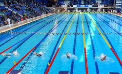 Pływackie Grand Prix w Lublinie: Tchórz i Majerski najlepsi