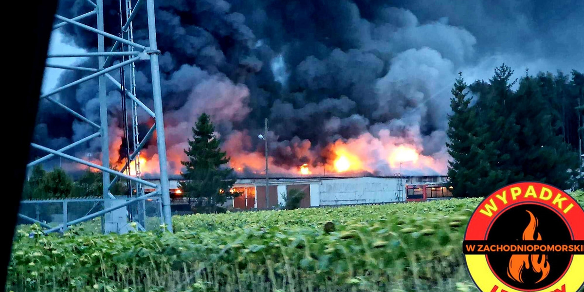 Kołki. Tragiczny pożar na fermie świń. W chlewni znaleziono zwęglone zwłoki.