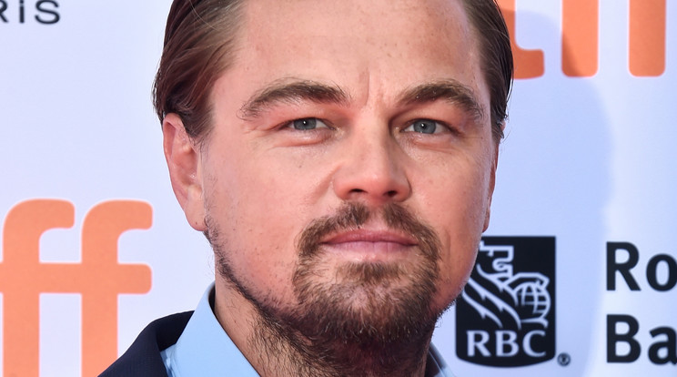 Leonardo DiCaprio /Fotó: Getty Images