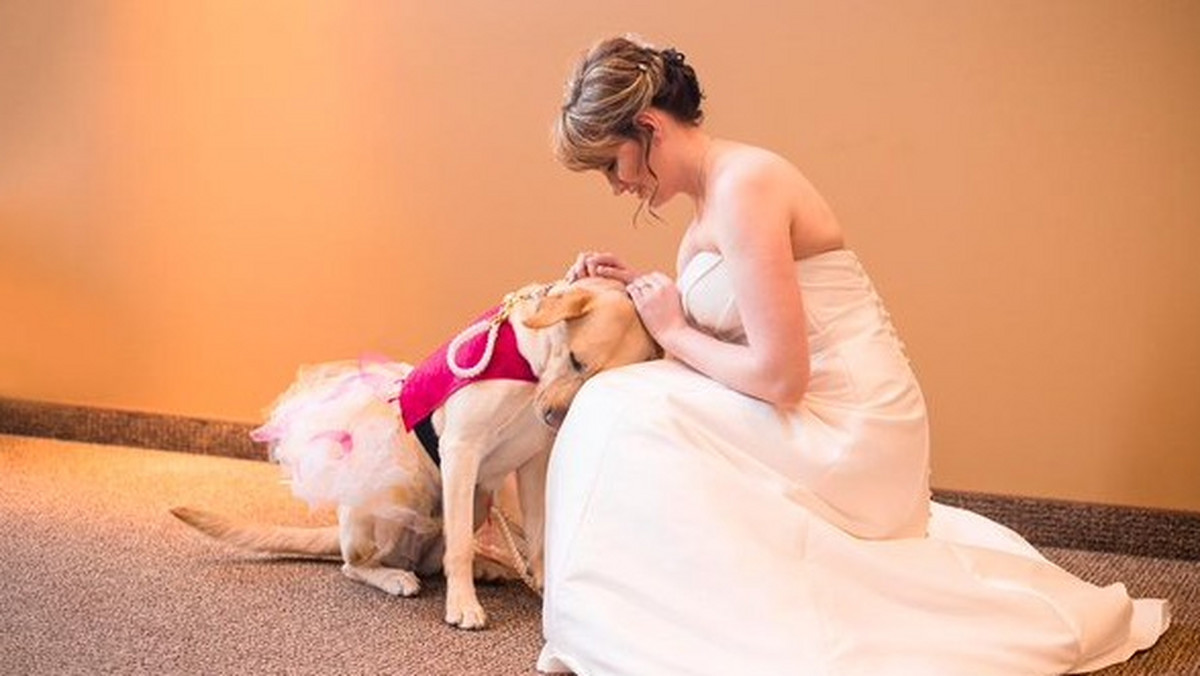 Maddie Peschong to fotografka ze Stanów Zjednoczonych, która wykonała niezwykłe zdjęcie panny młodej, Valerie Parrot, z jej ukochaną suczką Bellą. Labrador towarzyszył, pomagał i wciąż pomaga walczyć z problemami psychicznymi.